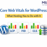 Core Web Vitals for WordPress: What Hosting Has to Do with It